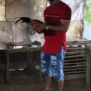 Meet your Posher, Alain